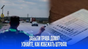 Забыл права дома? Узнайте, как избежать штрафа до 15 тысяч!