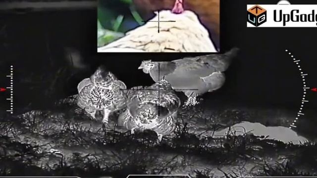 Sytong FM06-50 - замена XM и АМ / 3 в 1 ночной, дневной и тепловизор - убийца хм и ам серии смотреть онлайн