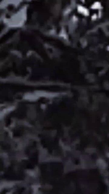 #карелия #зима #лес #shorts смотреть онлайн