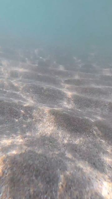 #крым2025 #евпатория2025 #море #shorts смотреть онлайн