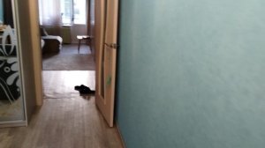 Диван и ужин 😋