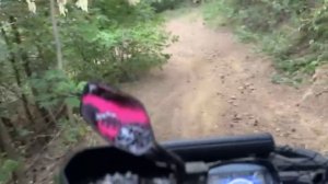 Небольшой прохват по лесу