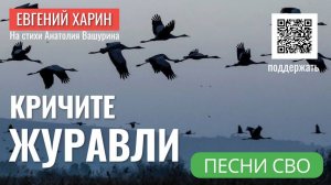 Кричите журавли, песня на стихи Анатолия Вашурина