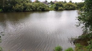 Гуляю в окрестностях дебрей.