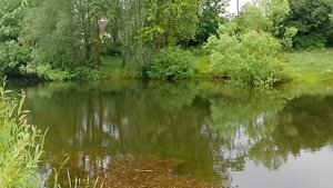 Из Краснодара в Санкт-Петербург. Щекино