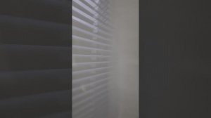 Суточно РУ Жалнина 18 номер 2