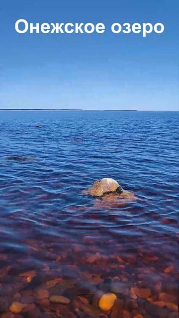 #карелия #озеро #природа #shorts смотреть онлайн