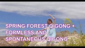 Qi03-02 "Цигун Весеннего Леса" от мастера Jaci Gran. Цигун Весеннего Леса (Chunyi Lin)