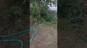 С караваном в Карелию.Сямозеро