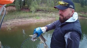 Щука со сломанной челюстью