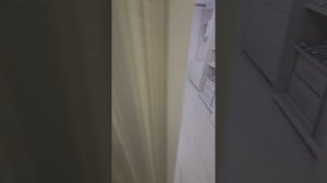 Суточно РУ Фин 17 номер 2