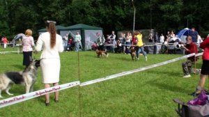 HDV_5768бест1грпамятилакотош