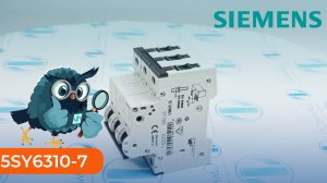 5SY6310-7 Выключатель автоматический Siemens - Олниса