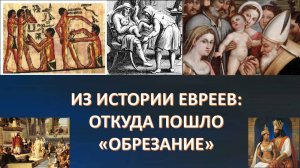 Евреи - это египтяне, бежавшие во главе с Моисеем после неудачной религиозной реформы!