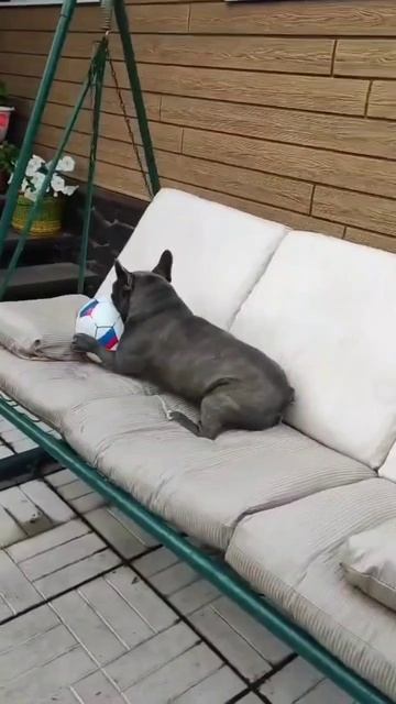 группа Рождество Чеканашки мы с тобой 🎶 смотреть онлайн