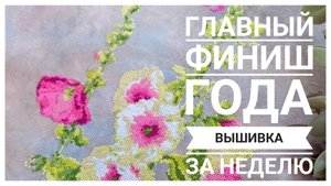 Продвижения за неделю | главный ФИНИШ года