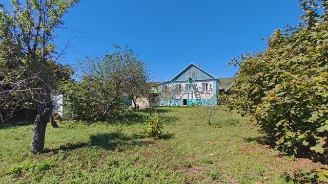 Садовая 24