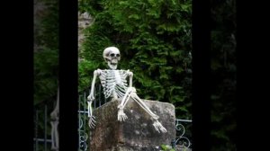 СКЕЛЕТОНЫ 3 ЧАСТЬ