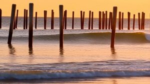 Whispers by the Shore  Tropical Pop & Sunset Vibes