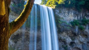 Волшебный фильм