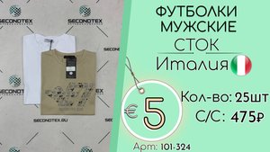 Продано! 101-324 #2802 Футболки мужские (с этикетками) Всесезон Италия