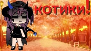 вот вам видео (БЫСТРЫЙ ТЕКСТ!) у нас соседи котики они так так любят н@рк#тики!