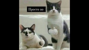 Виды Антиплагиатов и их преимущества