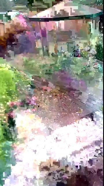 сидим смотреть онлайн