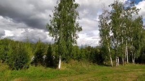 Трасса,разрезавшая посёлок Вознесение