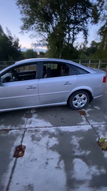 IMG_0592 смотреть онлайн