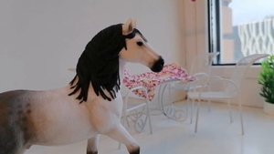 О совместной жизни Аида и Орхидеи......