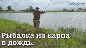 Рыбалка на карпа в плохую погоду. Готовим снасти, насадки и удилища.