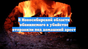 В Новосибирской области обвиняемого в убийстве отправили под домашний арест