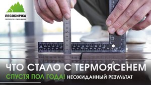 Аудит террасы из термоясеня. Эксперт о том, о чем вам не скажут продавцы 🏡
