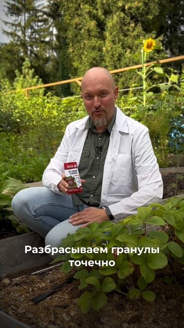 Боремся со слизнями на участке