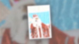 Новогоднее представление 2024