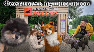 ХВОСТАТЫЙ ХАОС: День на фестивале «4 Лапы» в Измайловском парке