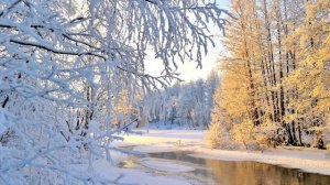 АНТОНИО ВИВАЛЬДИ. ВРЕМЕНА ГОДА. ЗИМА