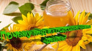Почему подсолнечниковый мёд стоит дешевле? Научный разбор