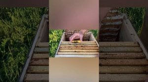 Сделал отводок , не забудь его обработать !