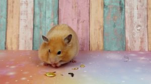 Маленький гурман