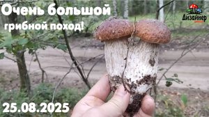 Очень большой грибной поход!!! 25.08.2025
