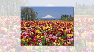 Лучшая Мантра Ганеша. Мантра Богатства И Успеха. Релакс