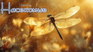 Красивые стрекозы. Маленькие вертолётики. Август 2025