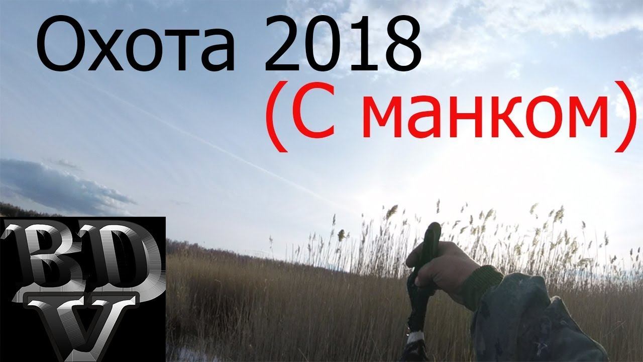 Охота 2018 (с манком)