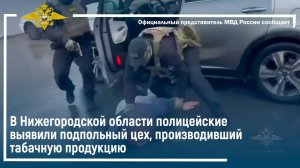 В Нижегородской области полицейские выявили подпольный цех, производивший табачную продукцию