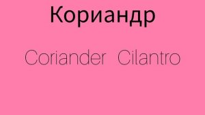 Как же будет по английски слово КОРИАНДР?