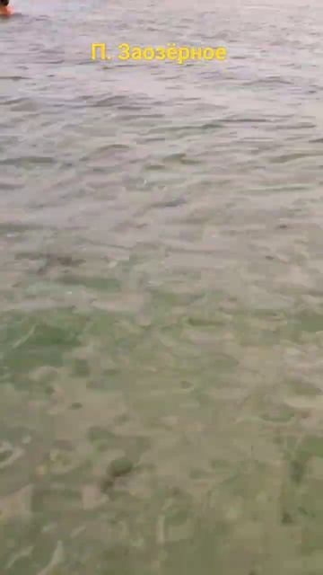 #shorts #крым #море смотреть онлайн