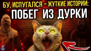 Бу, Испугался - Жуткие Истории: Побег из Дурки