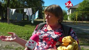В Димитровграде ищут хозяина питбуля